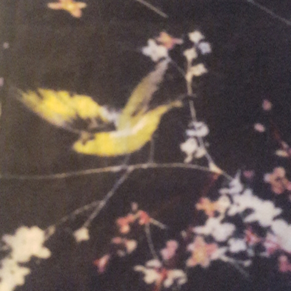 Scarf, Headwrap,Buy 1,One Free! - Picture 4 of 4